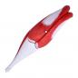 Preview: HeineScientific | Muskelmodell Bein (H139012)