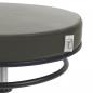 Preview: TEQLER Interior Rollhocker grau (T135362grau)