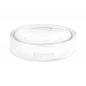 Preview: TEQLER | Petrischale 60mm (T135839)