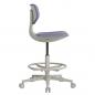 Preview: TEQLER | Laborrollhocker FLORENCE grau (T170713)