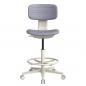 Preview: TEQLER | Laborstuhl VERONA grau (T170722)