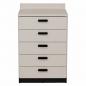 Preview: TEQLER | Schubladenschrank GREVE grau / schwarz (T1711890)