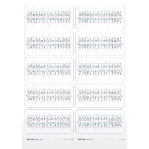Zahnschema-Aufkleber (klein)