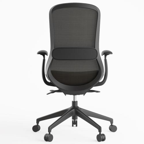 TEQLER | Bürodrehstuhl Leknes schwarz (T171158)