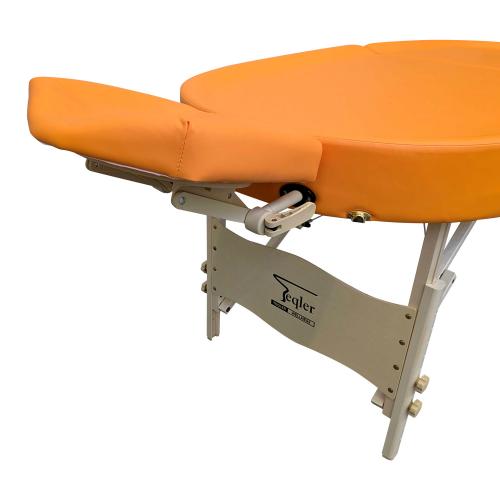 TEQLER | Ayurvedaliege (T170775)