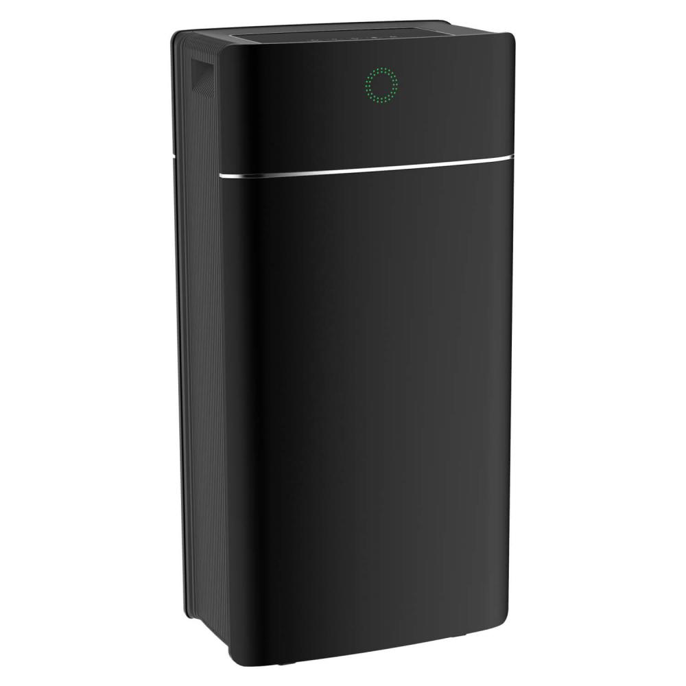 AIR-WOLF Luftreinigungsgerät ProActiveAir schwarz (10-901)