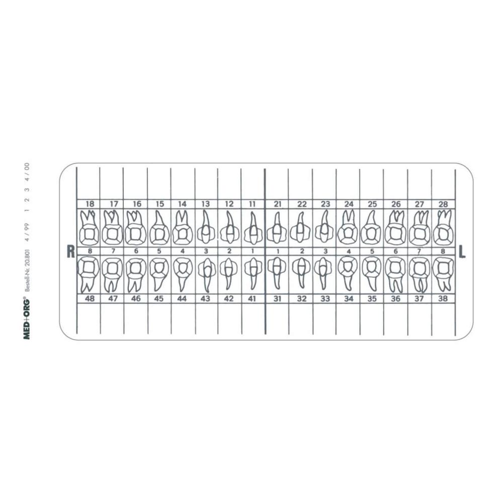 MED+ORG | Zahnschema-Aufkleber (groß)