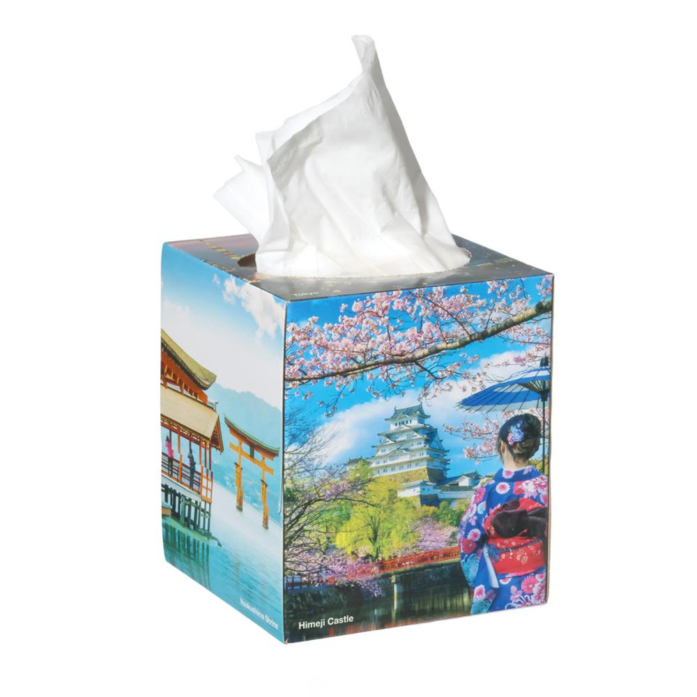 TEQLER | Papiertücher-Box (T138356)