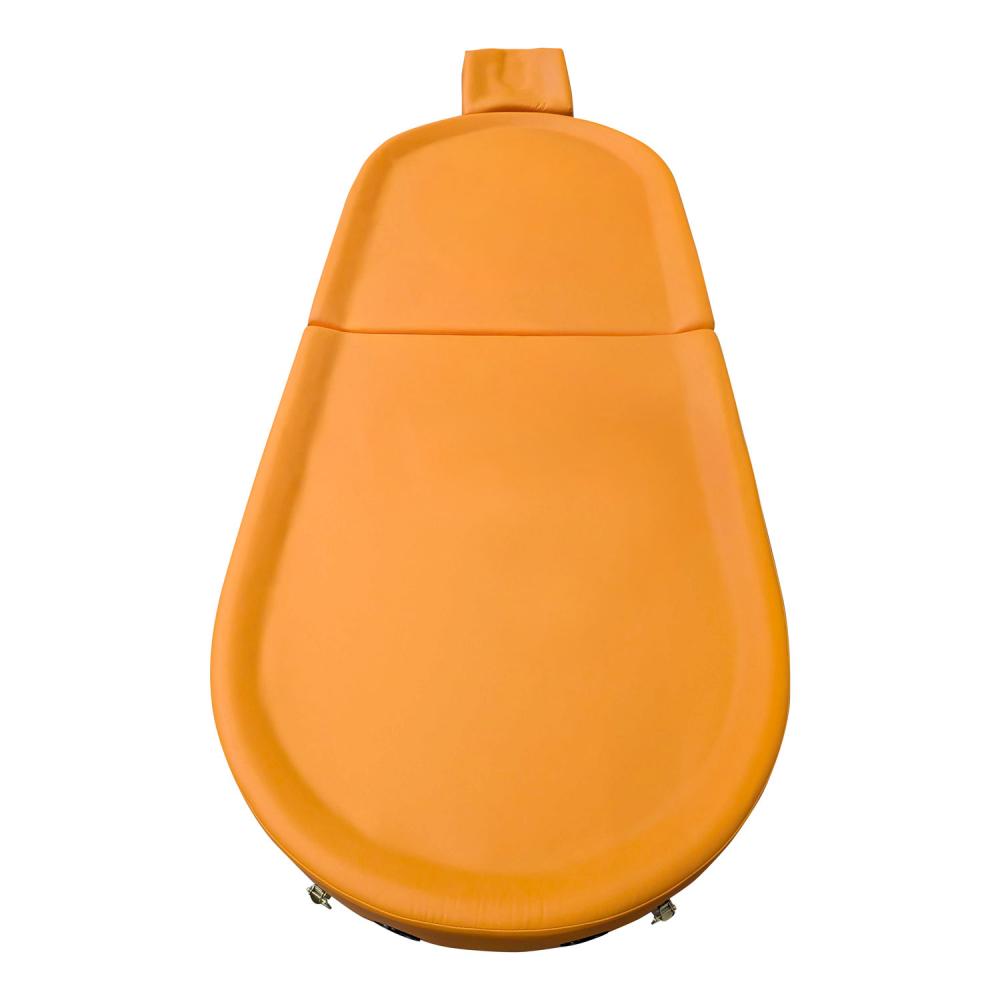 TEQLER | Ayurvedaliege (T170775)