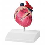 ERLER-ZIMMER | Hundeherz (VET1250)