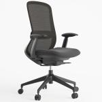 TEQLER | Bürodrehstuhl Leknes schwarz (T171158)