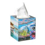 TEQLER | Papiertücher-Box (T138356)